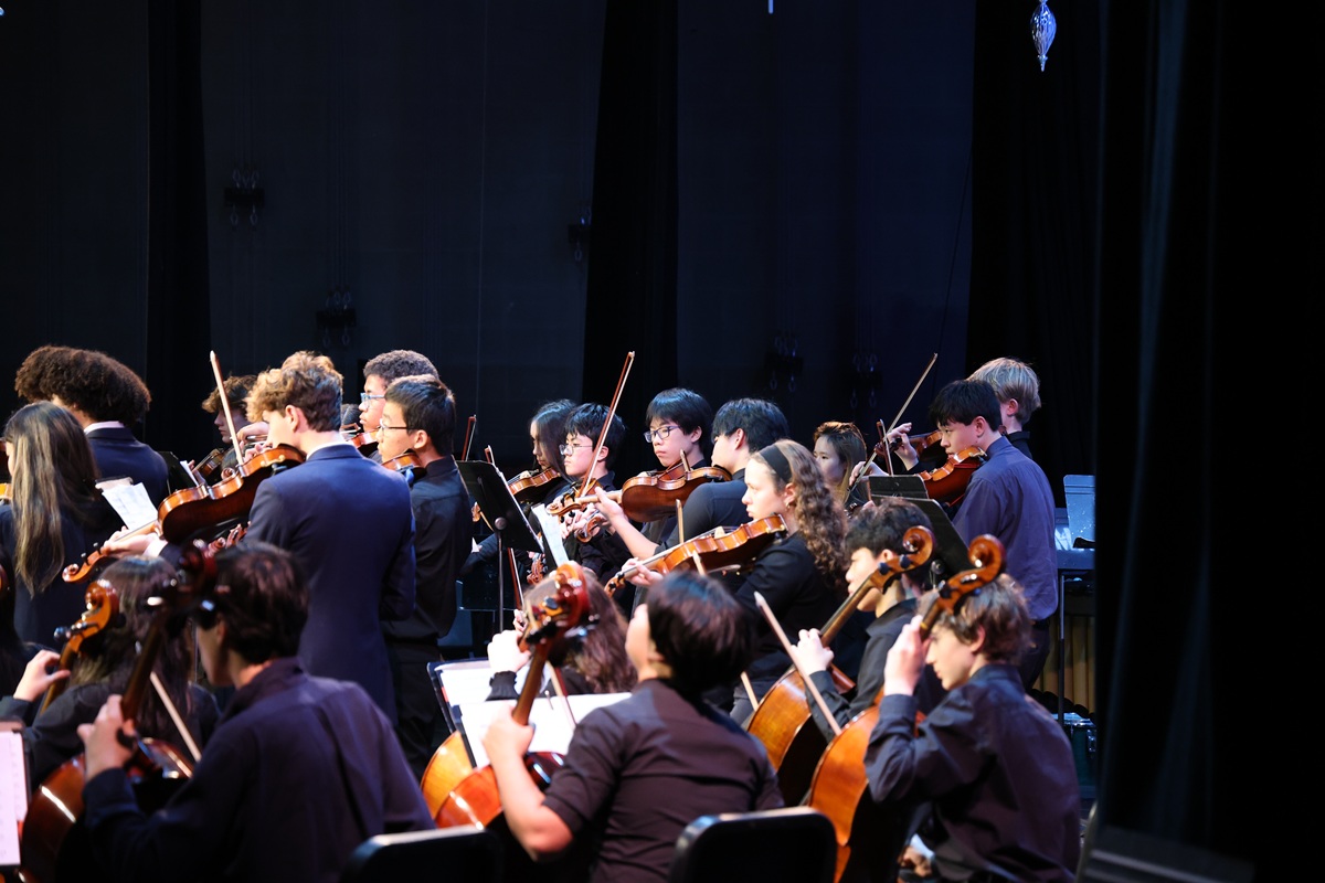 Full orchestra strings section performing