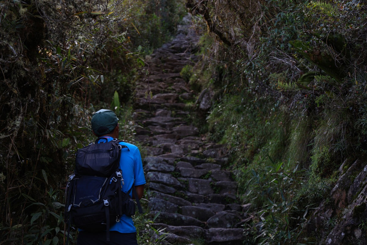Hiker ascending mossy stone steps on the Inca Trail